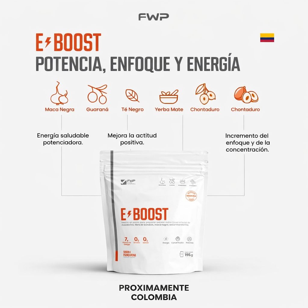 E-Boost FWP