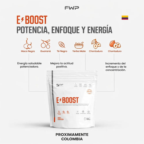 E-Boost FWP