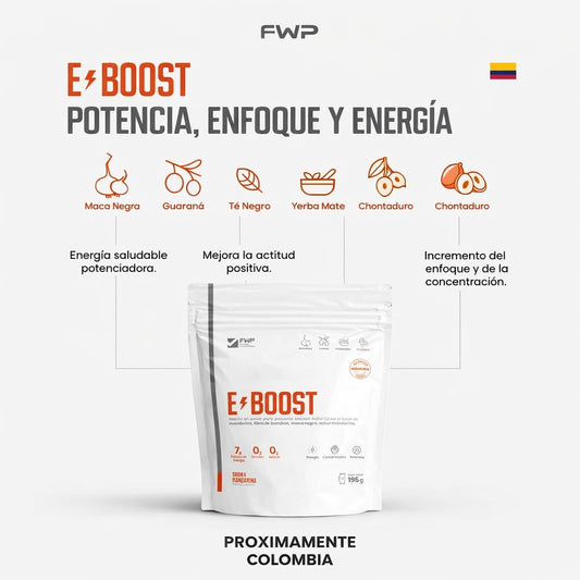 E-Boost FWP